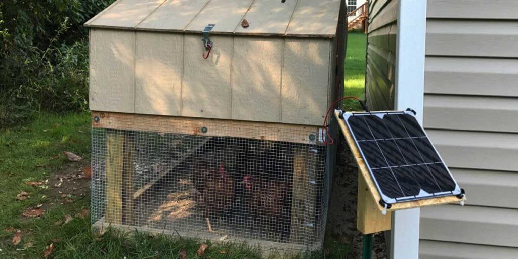 Best Solar Chicken Coop Lights