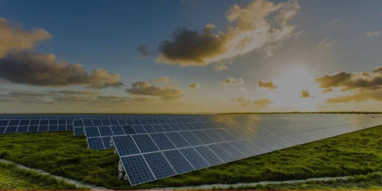 Are Solar Farms Profitable? | Solar Farm ROI Explained