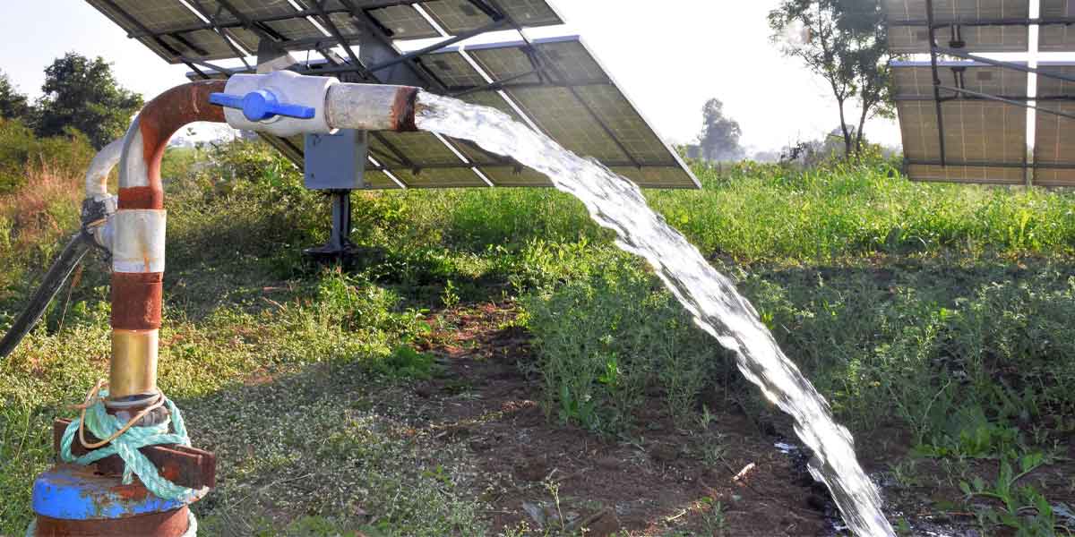 Best Solar Powered Water Pump for Irrigation