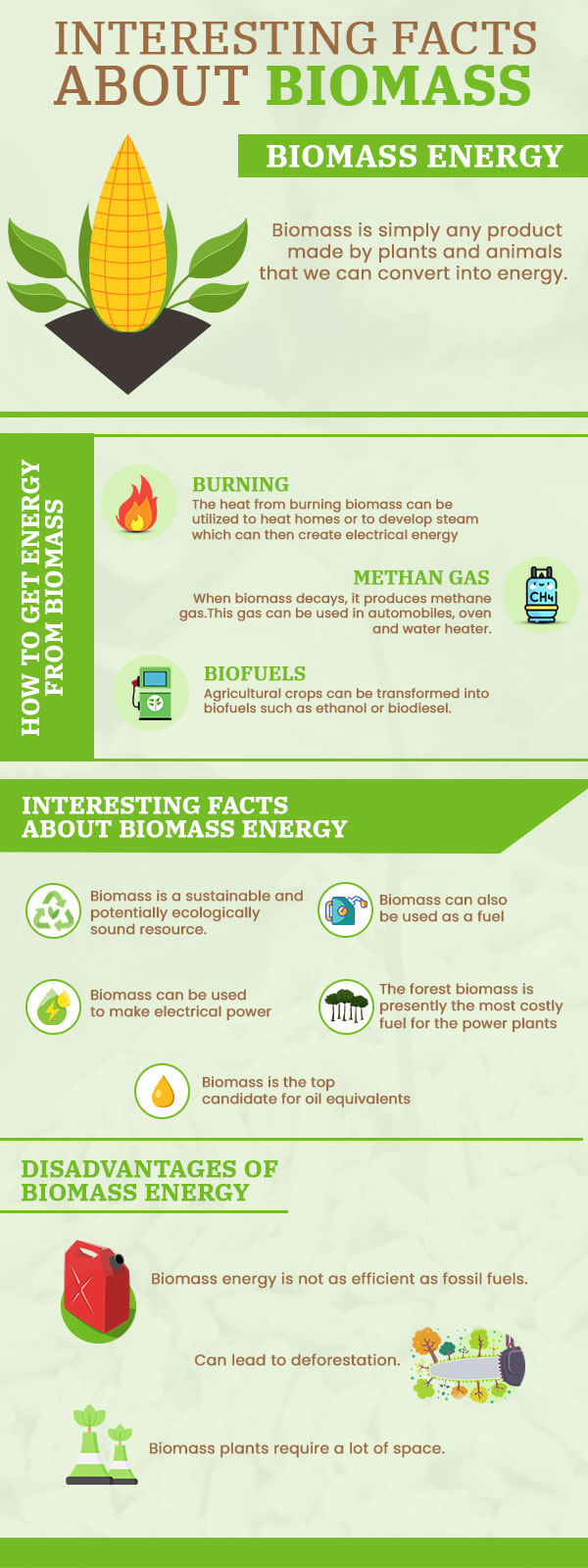 Interesting Facts About Biomass