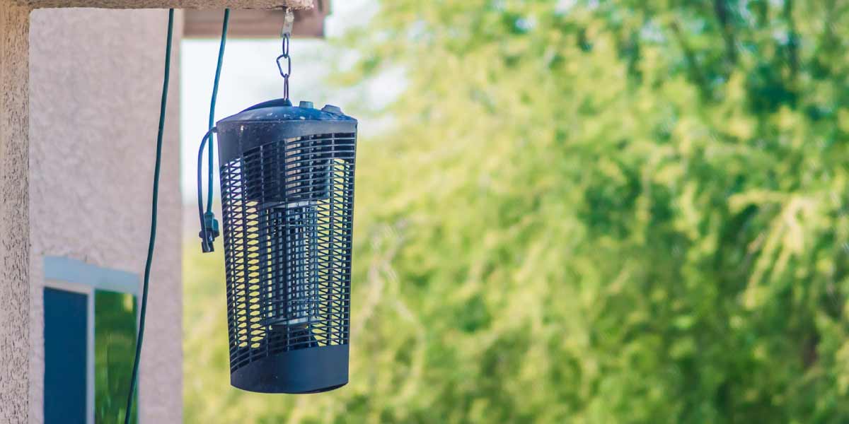 The Best Solar Powered Bug Zappers